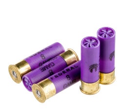 25 Rounds of 16ga 2-3/4" Ammo by Federal - 1 ounce #8 shot - Image 2